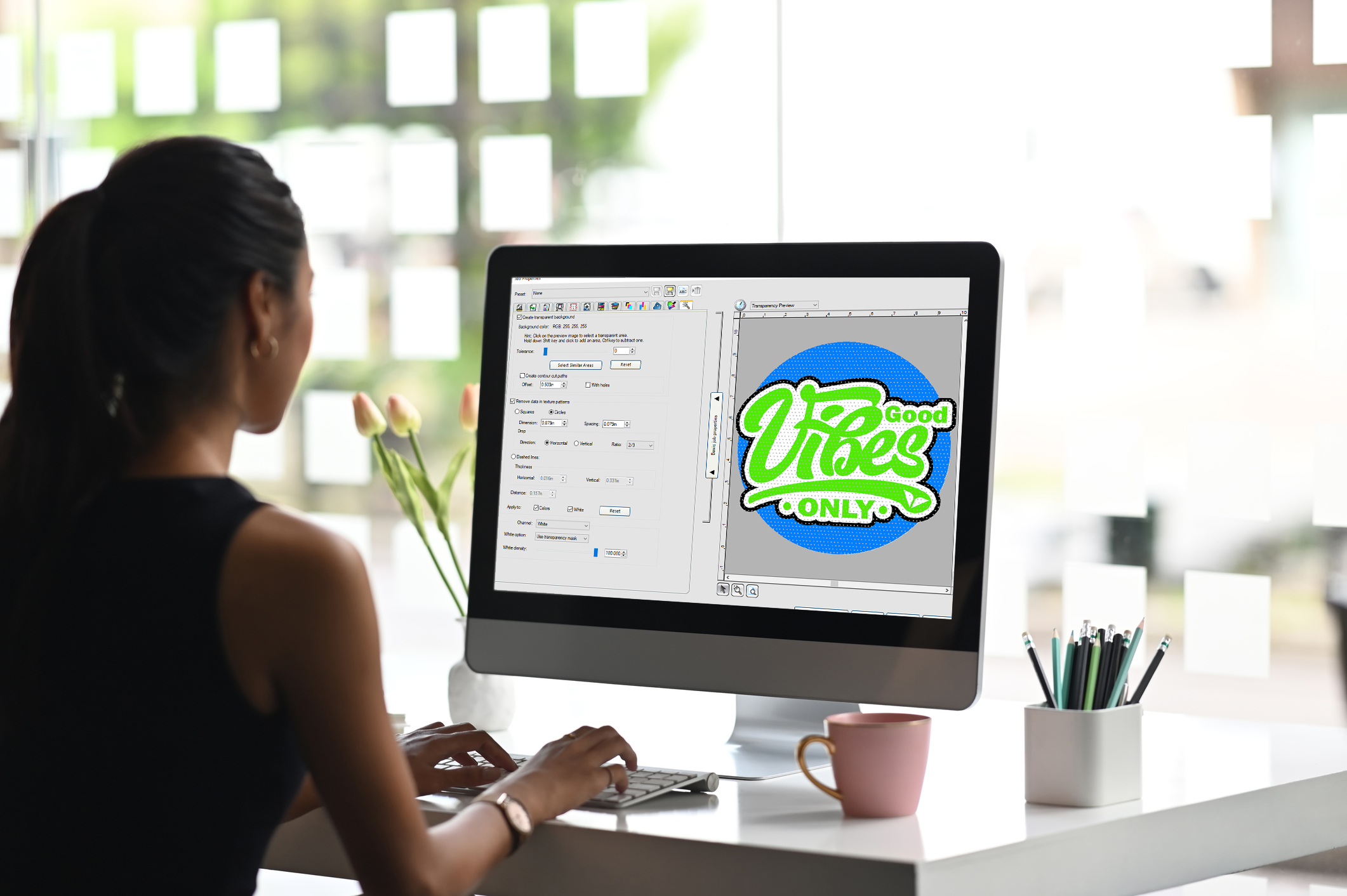 SAi Flexi 22 Software for DTF