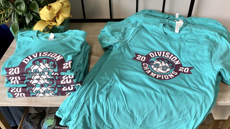 4C2E5A3C 10F1 471B BDA6 C1CF75B18A90 768x432